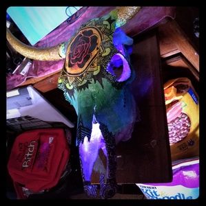 Authentic cow skull decor for any room!